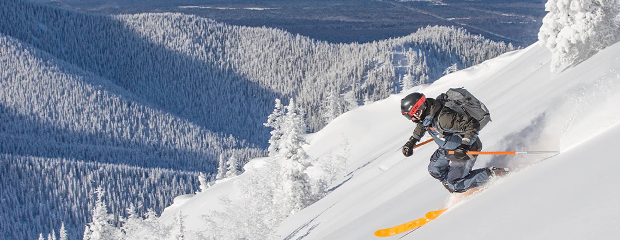 COVER ZAG ski freeride