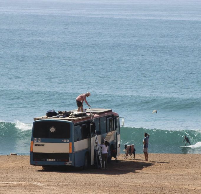 Bus commodore Surf