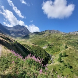 AMBASSADEUR BLOG Carré Tour du Mont Blanc paysage participants