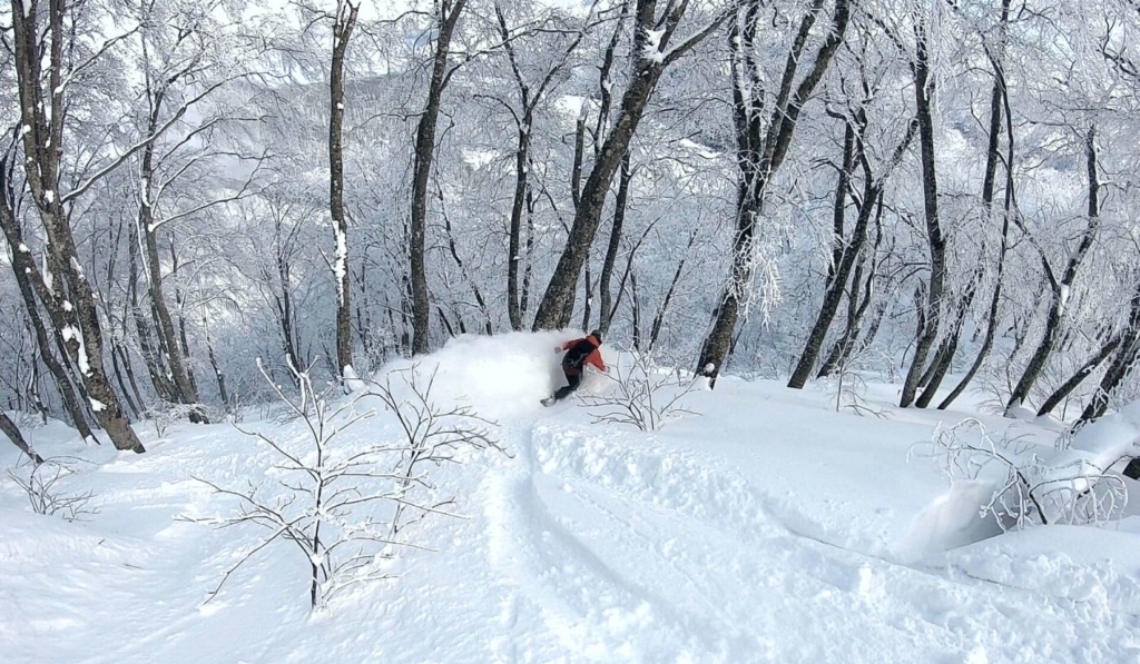Galerie Habuka Snowboard