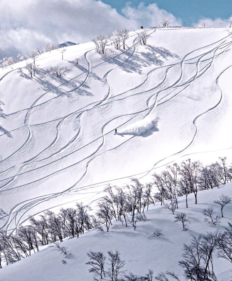 Top Hakuba snowboard Japon