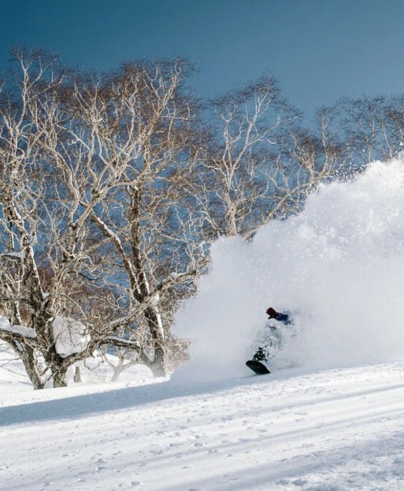 Top Snowboard Japon