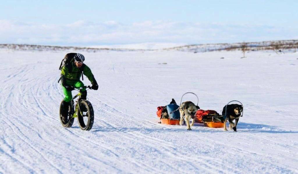 Top Fatbike Norvège neige cercle arctique pulka chiens de traineaux